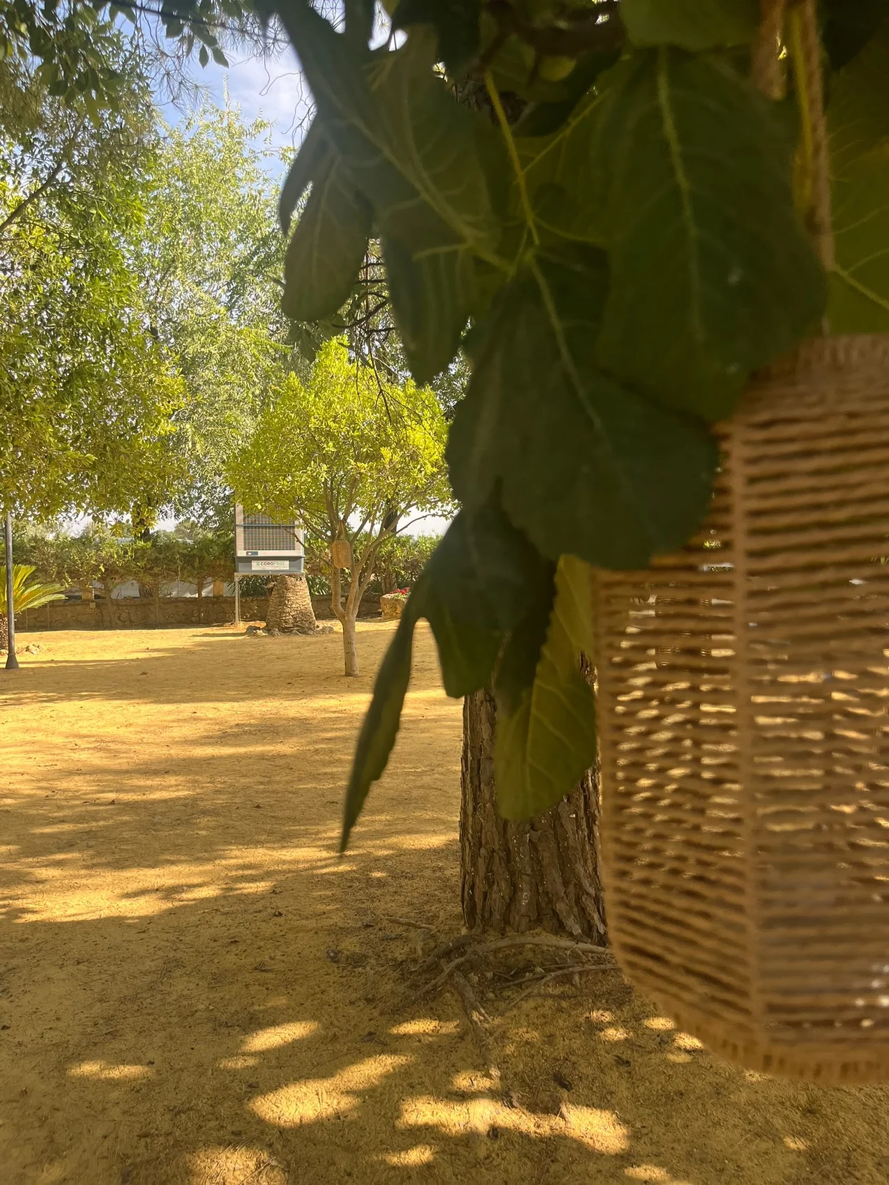 Aire evaporativo COROFRIO para eventos al aire libre